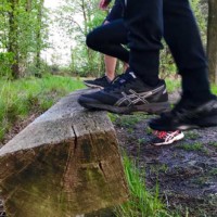 Bootcamp Roosendaal Stepup